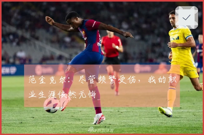 范金克尔:尽管频繁受伤,我的职业生涯依然无悔